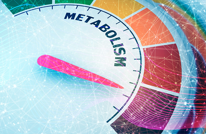 Разноцветная шкала с розовой стрелкой и надписью Metabolism Разноцветная шкала с розовой стрелкой