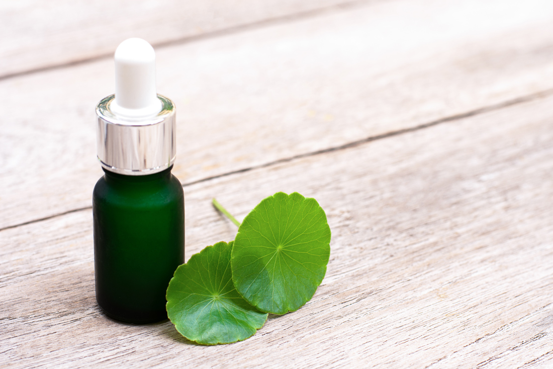 Флакон с экстрактом и листья центеллы азиатской Экстракт центеллы азиатской во флаконе